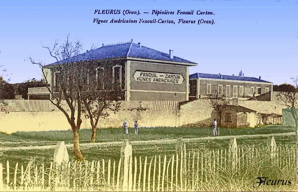 Fleurus 05.jpg